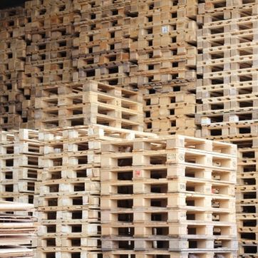 Koop en verkoop uw pallets bij Meiland pallets in Hillegom