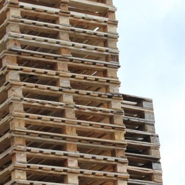 Koop en verkoop uw pallets bij Meiland pallets in Hillegom